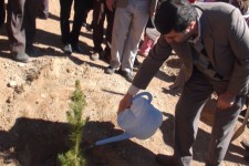 مراسم جشن درختکاری در هرسین برگزارشد/یاور محمدی: جنگلها يكي از با ارزش ترين منابع بشری مي باشد كه مورد تخريب و نابودي قرار گرفته است