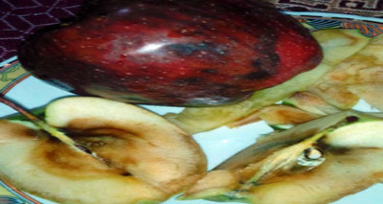  نارضایتی مردم از کیفیت و نحوه توزیع میوه شب عید /تفاوت فاحش کیفیت میوه تعاونی با کف بازار با همان قیمت