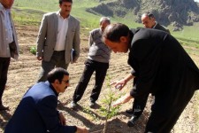 برگزاری کلاس آموزشی ویژه باغداران در هرسین/علی اشرف جلیلی:هدف از این آموزش ها ترویج اصول صحیح باغداری نوین است