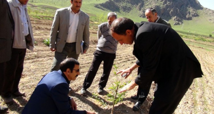 برگزاری کلاس آموزشی ویژه باغداران در هرسین/علی اشرف جلیلی:هدف از این آموزش ها ترویج اصول صحیح باغداری نوین است