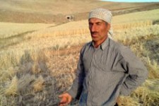 نارضایتی کشاورزان هرسین از عدم حمایت دولت و خدمات بیمه ای /  وقتی شعارهای دولتی ها محقق نمی شود