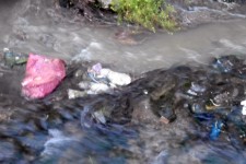 آبیاری با فاضلاب مهمترین مشکل زیست محیطی هرسین/وقتی سبزیجات طعم فاضلاب به خود می گیرند