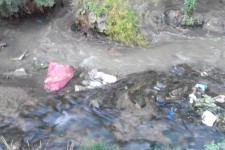 تصاویر تأسفبار از وضعیت آبیاری سبزی کاریهای هرسین با فاضلاب شهری