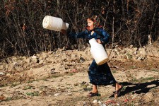 مشکل کمبود آب در روستاهای هرسین جدی است/بحران آب زنگ خطر مهاجرت را در روستاهای شهرستان به صدا در آورده است