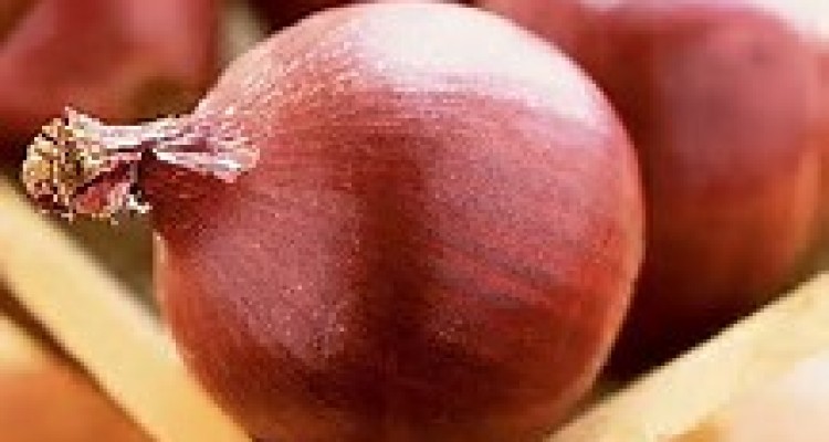 پیش بینی تولید 28 هزار تن پیاز در شهرستان هرسین