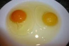 آلبومین گران قیمت در تخم مرغ و تاثیر آن بر روی کبد 