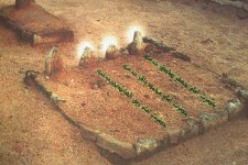 السلام علیک یا اهل بقیع:...