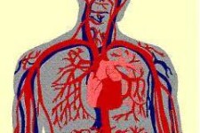 عواطف انسانی که ارگان های بدن را ضعیف می کنند...