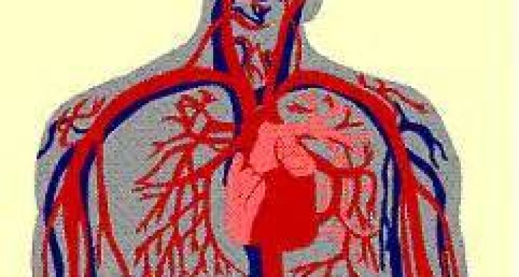 عواطف انسانی که ارگان های بدن را ضعیف می کنند...