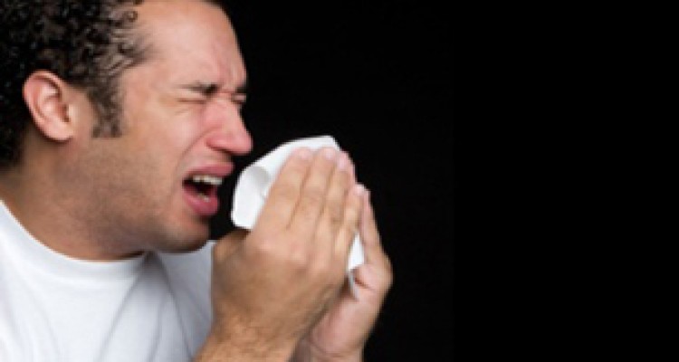 عطسه تان را بخورید ، کر می شوید !