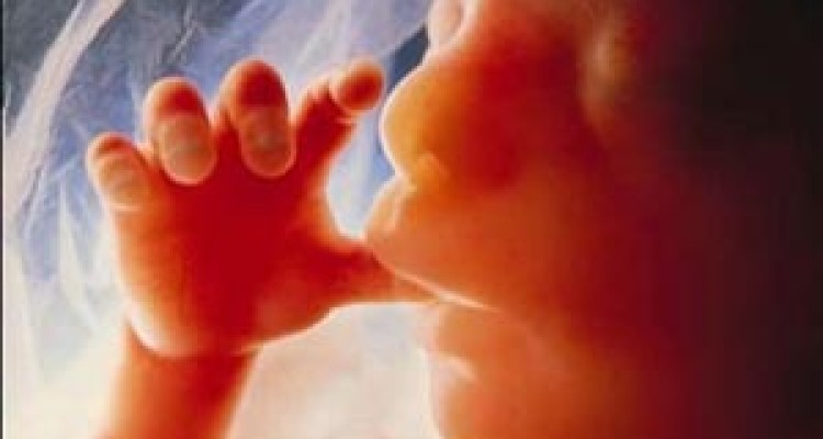 مغز جنین، نخستین قربانی امواج تلفن همراه 