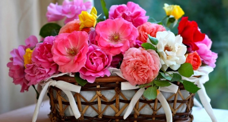 مهربان باشیم!!