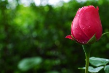 آخر دلم برای شما تنگ می شود...