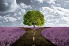 در این مسابقه برنده باشید