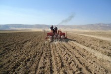 کاشت 120هکتار نخود پاییزه در شهرستان هرسین در دستور کار قرار گرفت