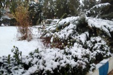 بارش اولین برف پاییزی هرسین را سفید پوش کرد+تصویر