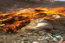 جمع آوری و معدوم سازی بیش از چهار تن خوراک دام آلوده در شهرستان هرسین 