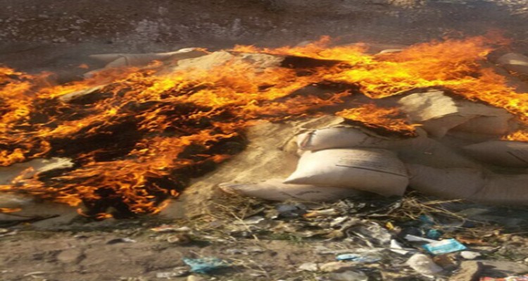 جمع آوری و معدوم سازی بیش از چهار تن خوراک دام آلوده در شهرستان هرسین 