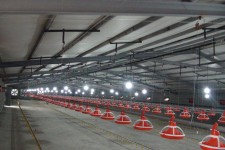 افتتاح یک واحد توليد مرغ  گوشتي 20 هزار قطعه اي با اعتبار 6 ميليارد  و 600 ميليون ريال 