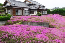 دوست داشتنی ترین شوهر دنیا! +عکس 