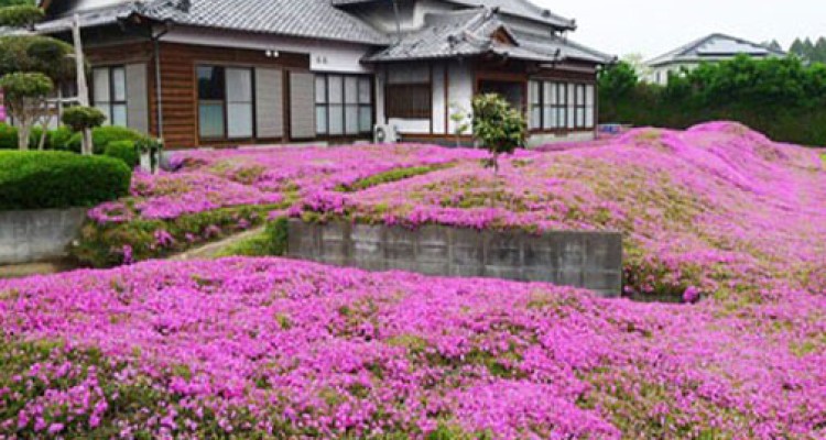 دوست داشتنی ترین شوهر دنیا! +عکس 