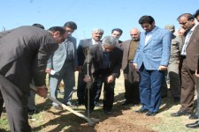 غرس 300اصله نهال در محوطه پارک ولیعصر بیستون