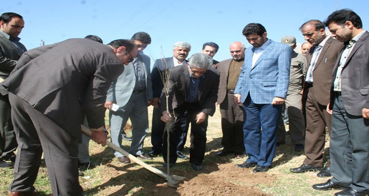 غرس 300اصله نهال در محوطه پارک ولیعصر بیستون