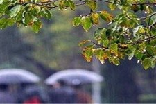 استقرار سامانه بارشی تا اوایل هفته آینده در جو منطقه /تشدید بارش ها و احتمال آبگرفتگی معابر در برخی نقاط استان