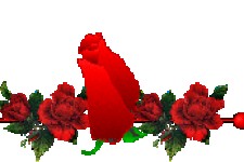 شرمنده معلم 