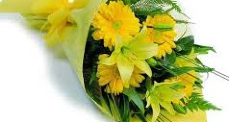 معلم مهربانم....