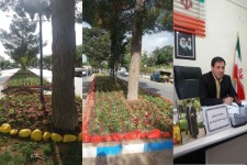 کاشت 9هزار گلدان به مبلغ 90میلیون ریال در سطح شهر هرسین+تصویر