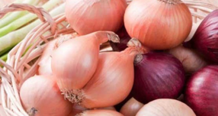 پیاز بخوریم یا نخوریم؟ 