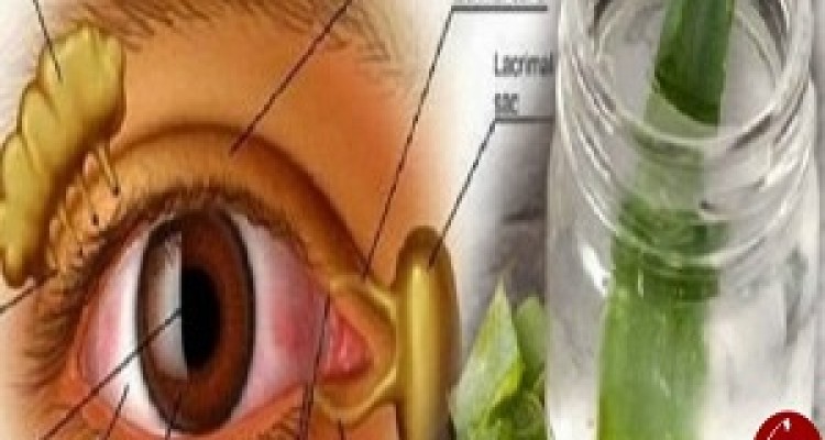 نوشیدنی معجزه آسایی که چشمانتان را مانند عقاب تیز بین می کند 