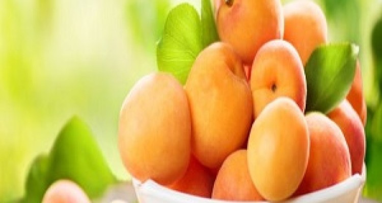 کنکوری‌ها "میوه متفکرها" را فراموش نکنند