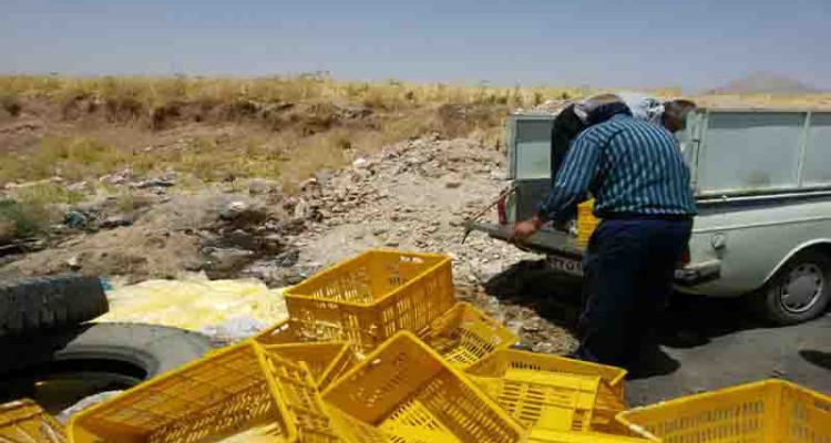 معدوم سازی 840 کیلوگرم خامه خام توقیفی در بخش بیستون