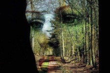 ذهن ما باغچه است ....