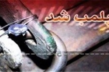 پلمپ 5 واحد های صنفی موتور ساز‌و موتور فروش فاقد پروانه کسب در هرسین