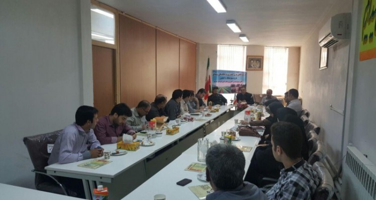 کارگروه علمی سازی کشاورزی در هرسین برگزار شد/ قربانی: با همکاری سپاه و جهاد کشاورزی شهرستان ۱۲ روستای محروم هرسین  تحت پوشش این شبکه هستند