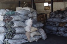 کشف و توقیف 40کیسه زغال  در مبادی ورودی هرسین