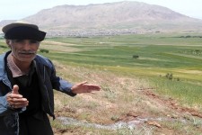 لزوم توجه مسئولین به ظرفیت مغفول مانده کشاورزی در هرسین / بیش از 100هکتار از مزارع پایین دست شهرستان در آستانه نابودی است