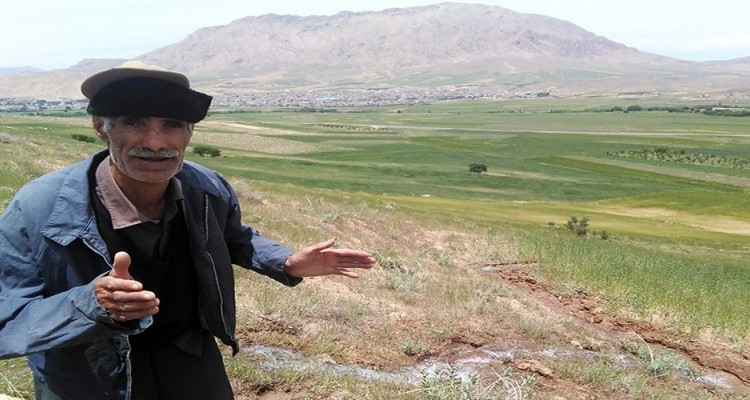 لزوم توجه مسئولین به ظرفیت مغفول مانده کشاورزی در هرسین / بیش از 100هکتار از مزارع پایین دست شهرستان در آستانه نابودی است