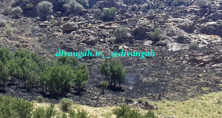 حدود یک هکنار از مراتع بخش بیستون دچار آتش سوزی شد