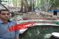 اصل کار در فاز دوم نمایان کردن حوض سنگی است/ تمرکز آثار برای بازدید عموم در یک مکان بهتر است