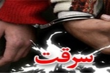 کاهش 17 درصدي وقوع سرقت در هرسین