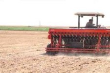 جذب 7 دستگاه ریزكارنده در شهرستان هرسین