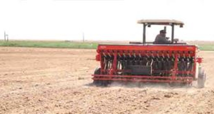 جذب 7 دستگاه ریزكارنده در شهرستان هرسین