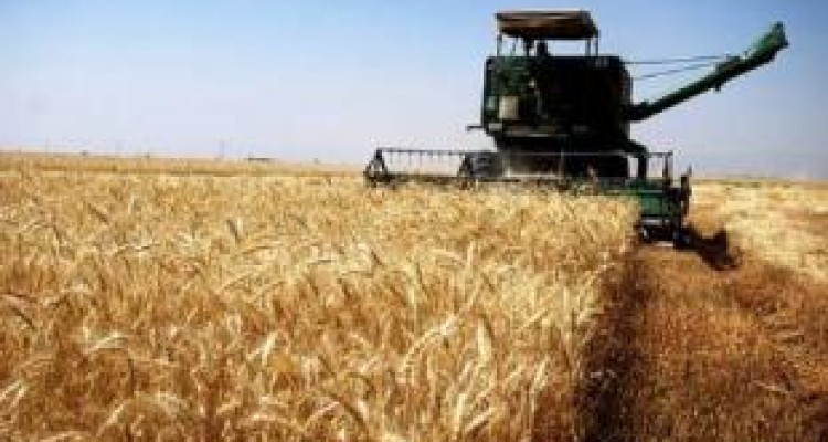 دولتِ واردات!