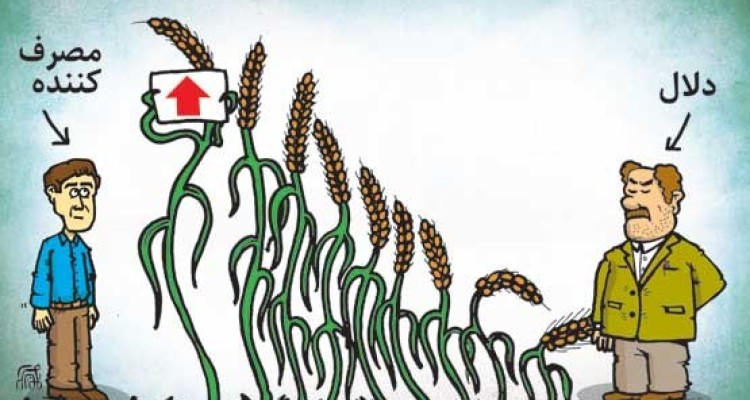 افزایش قیمت برنج خارجی 