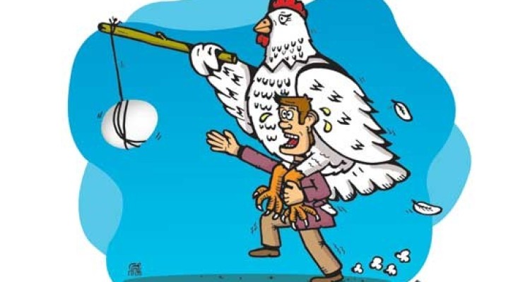 افزایش قیمت تخم مرغ