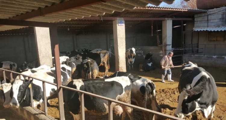 معرفی ۳۰ دامدار به معاونت برنامه ریزی و اقتصادی سازمان جهت دریافت تسهیلات 